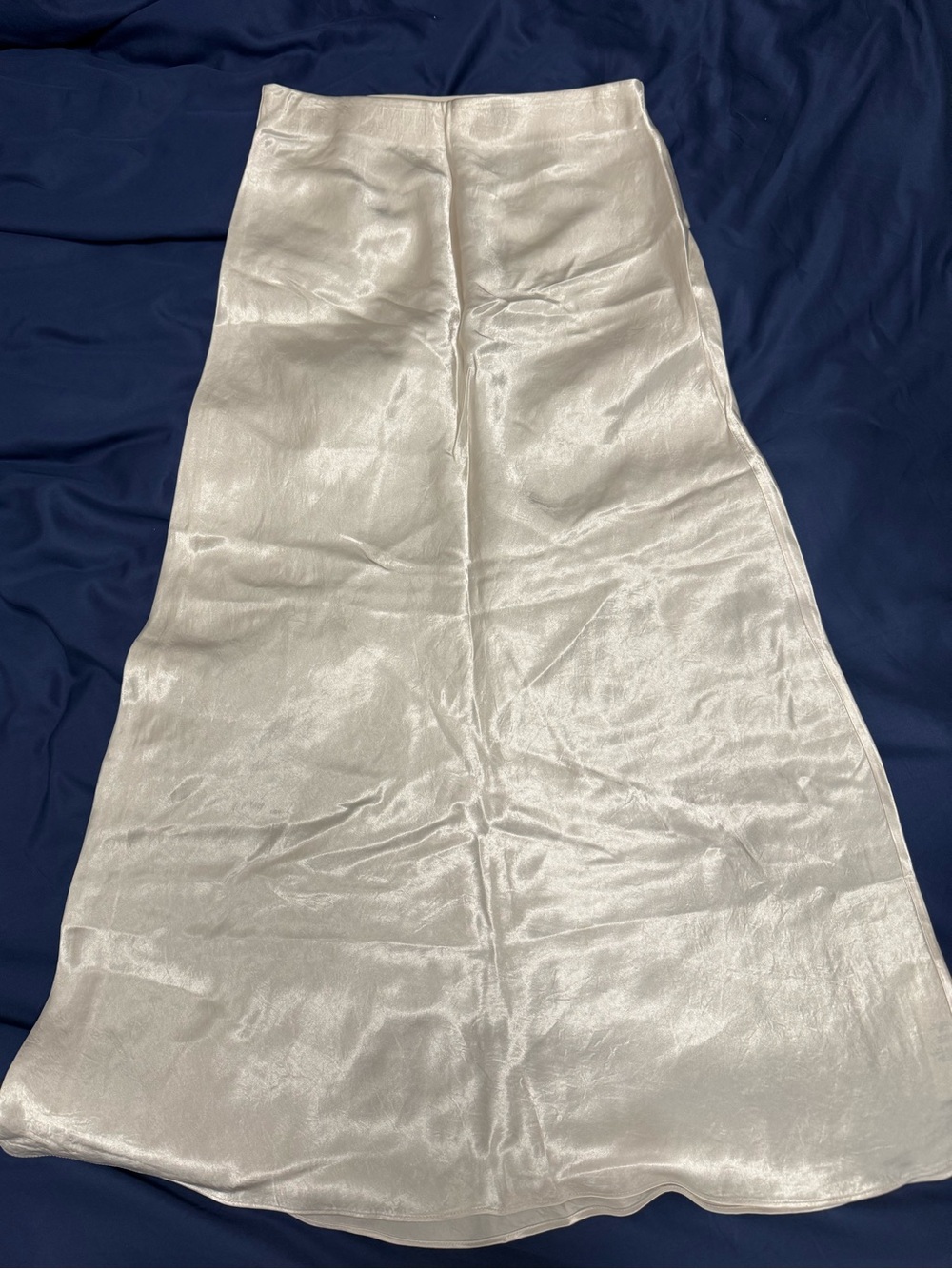 Aritzia (Babaton) Slip Maxi Skirt